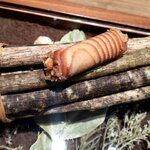 ラチュレ - 猪のリエット