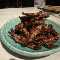 CINA New Modern Chinese - 