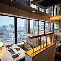 PONGA PREMIUM - 