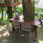 京屋茶舗 - 樹木を囲む席、