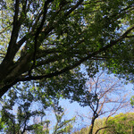 京屋茶舗 - 心地よい一時でした(〃∇〃)