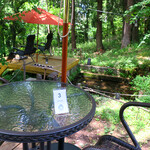 京屋茶舗 - 緑の森に似合う、