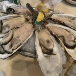 Oyster Bar ジャックポット - 