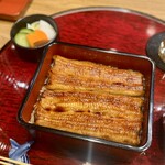 Iriyaki Shimojim Monzen No Daya - お重いっぱいに敷き詰められた鰻