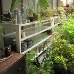 豆食堂ポロッポー