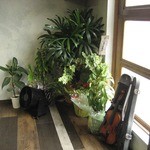 豆食堂ポロッポー - 豆食堂ポロッポー