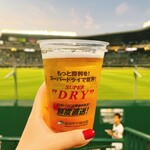 阪神甲子園球場 - 