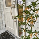 プティポアン - 金木犀のお花が癒されます♡