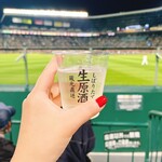 阪神甲子園球場 - 