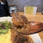 SPICY CURRY 魯珈 - チキンのアップ