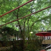 貴船 仲よし - 