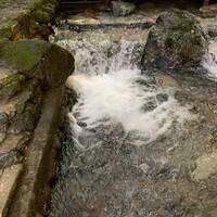 貴船 仲よし - 