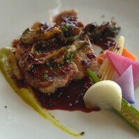 ツキ シュール ラメール - 