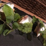 ラ　カーサ　ディ　ノンノ - 酢〆秋刀魚と茄子のなんちゃら