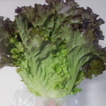 松原農園 - たっぷりんだ