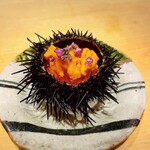 Sushi Ooshima - 