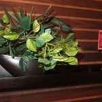 175°DENO担担麺 - 壁に　【　２０１３年１０月　】