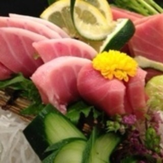 まぐろやナポレオン_0