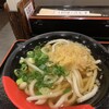 伊予製麺 - 料理写真:かけうどん並　