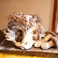 日本料理 新茶家 - 