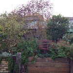 ソフィーズガーデン - 