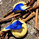 ラ・ヴァガボンド - マカロン