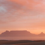 Blowfish Restaurant - 