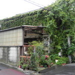 スパイスカフェ - どこから入るの？