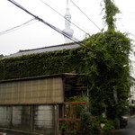 スパイスカフェ - 電柱にからまってます。