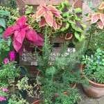 スパイスカフェ - 営業時間見えません