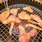 地鶏の里 永楽荘 - 焼くよ