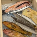 魚屋 Fish.K - お目々がめっちゃキレイ！