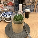 Sushi Sake Sakana Sugi Dama - 