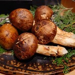 日本料理 柳燕 - 青森と岩手の間の松茸お披露目