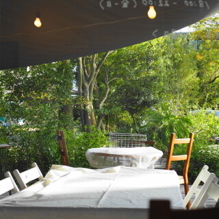 サトミキルン_2