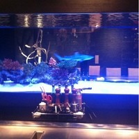 鉄板DINING集 栄店 - 