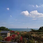 ダ・ルイジ - 席からの眺望。野菜畑の先には太平洋が広がり、コキアの色付きに秋を感じる。この景色自体も料理の一部となっていて美味しさが引き上げられている。