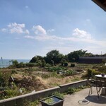 ダ・ルイジ - 店の奥の野菜畑。料理に使われている多くの野菜がここからのもの。正に採りたて野菜たち。