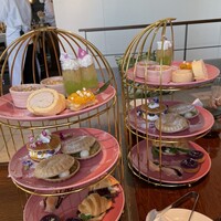 ジンジャーズビーチ サンシャイン - 
