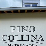 PINO COLLINA - 