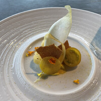 International cuisine subzero - 