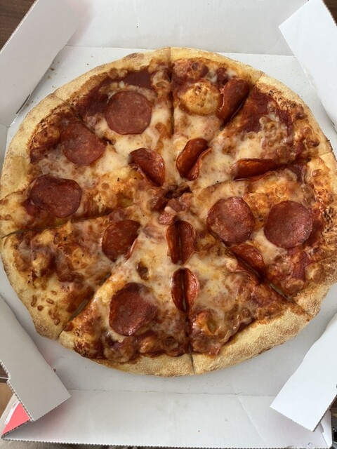 閉店】ドミノ・ピザ フレスポ犬山店 （Domino's Pizza） - 犬山口/ピザ