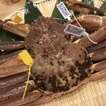 Sushi Urayama - タグ付き特大松葉蟹