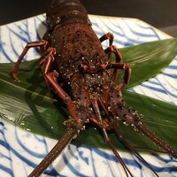 本店山科 - 