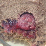 デザート ラボ ショコラ - 木苺