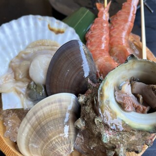 ワイルドキングダム トヨス_1