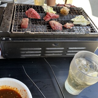 ワイルドキングダム トヨス_0