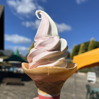 かのやばら園 ローズダイナー_0