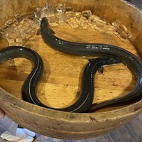 炭焼鰻 寝床 福島店 - 