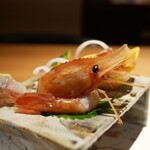 Japanese cuisine Ruka